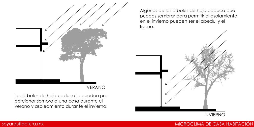 La iluminación natural se puede provocar o evitar con la correcta vegetación