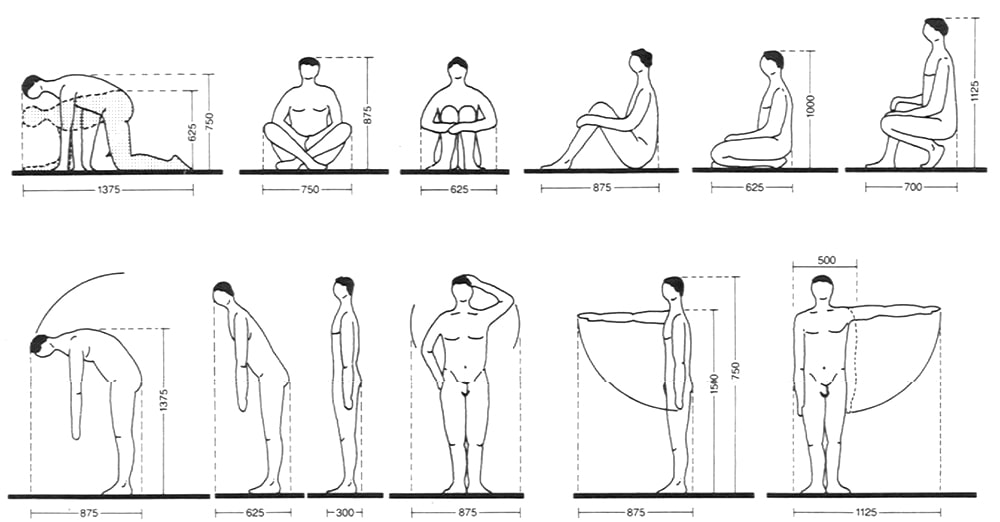 Medidas antropométricas básicas del cuerpo humano para diseño arquitectónico
